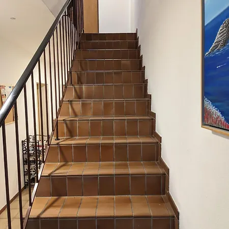 Apartment Gaestehaus Vogel - Seeadler